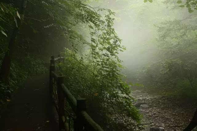 大山羔羊逃生