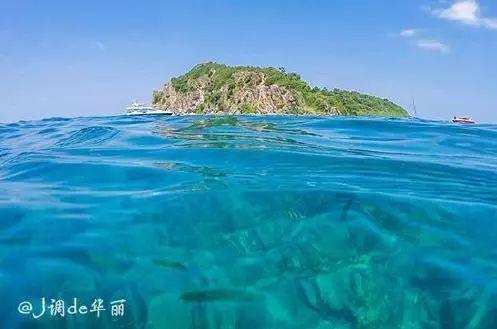 启动!第五届花都美食节等你来逛!